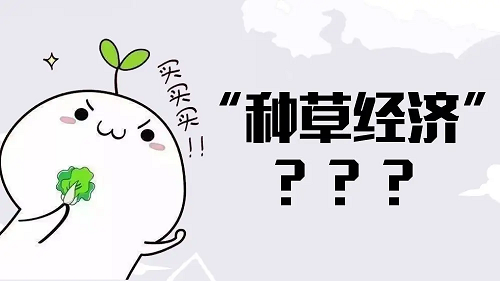 種草是什么意思？小紅書(shū)上如何種草？